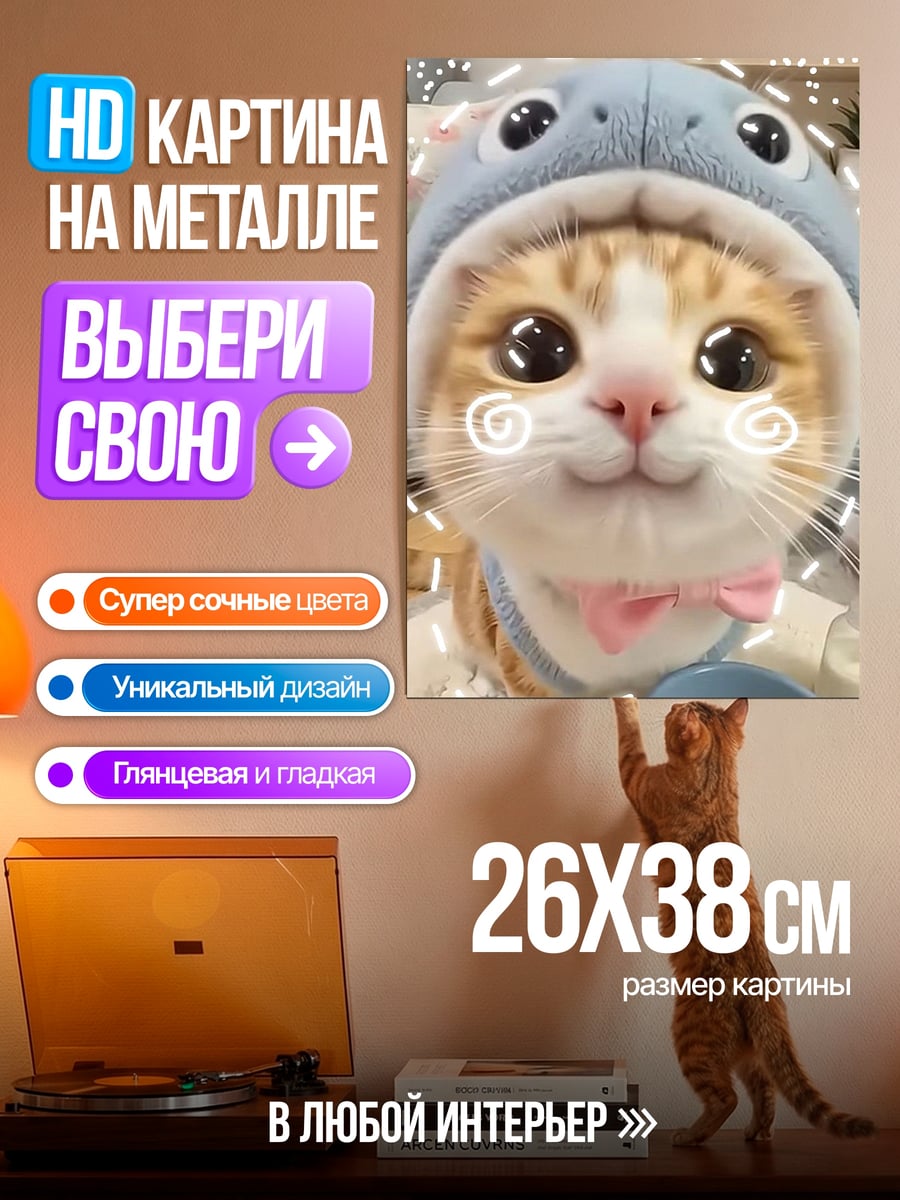 Картина на металле Кот в шапке