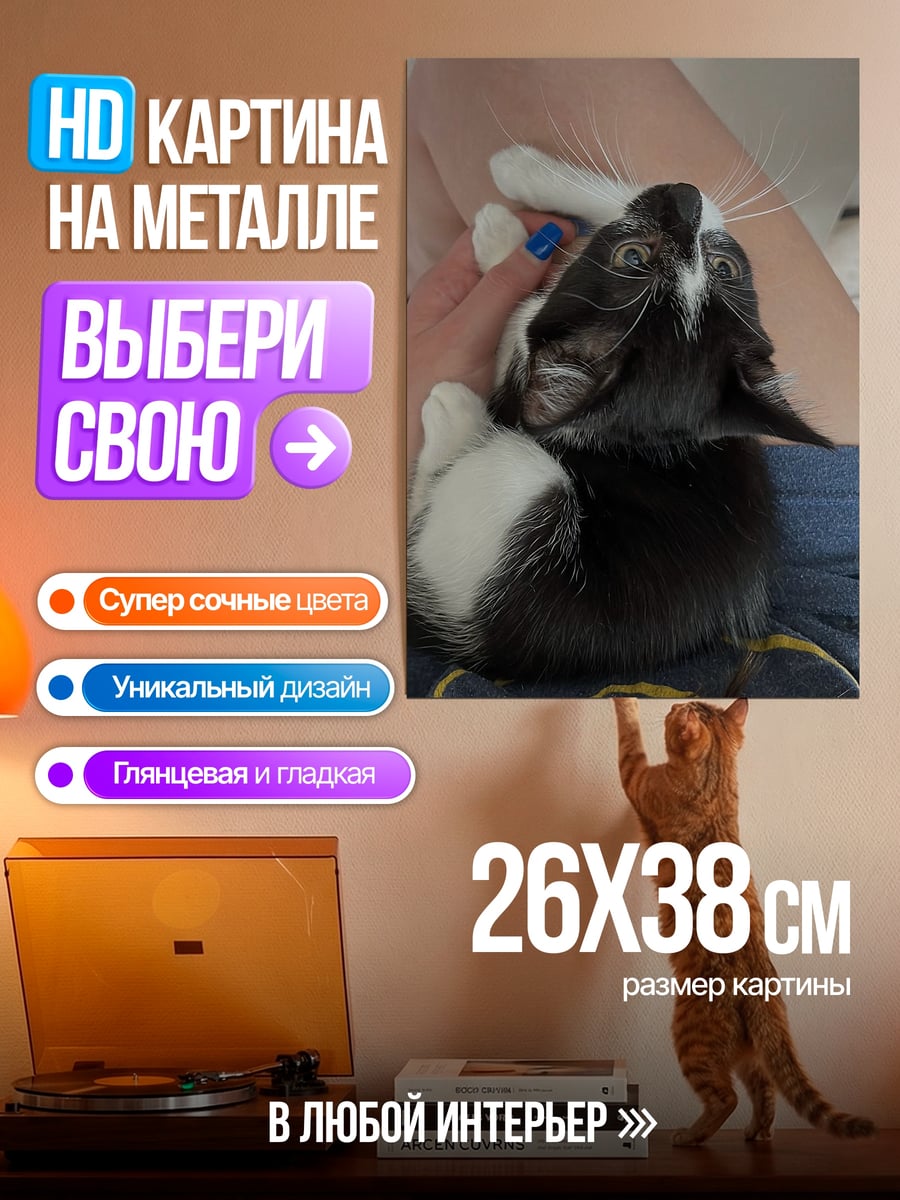 Картина на металле Котёнок