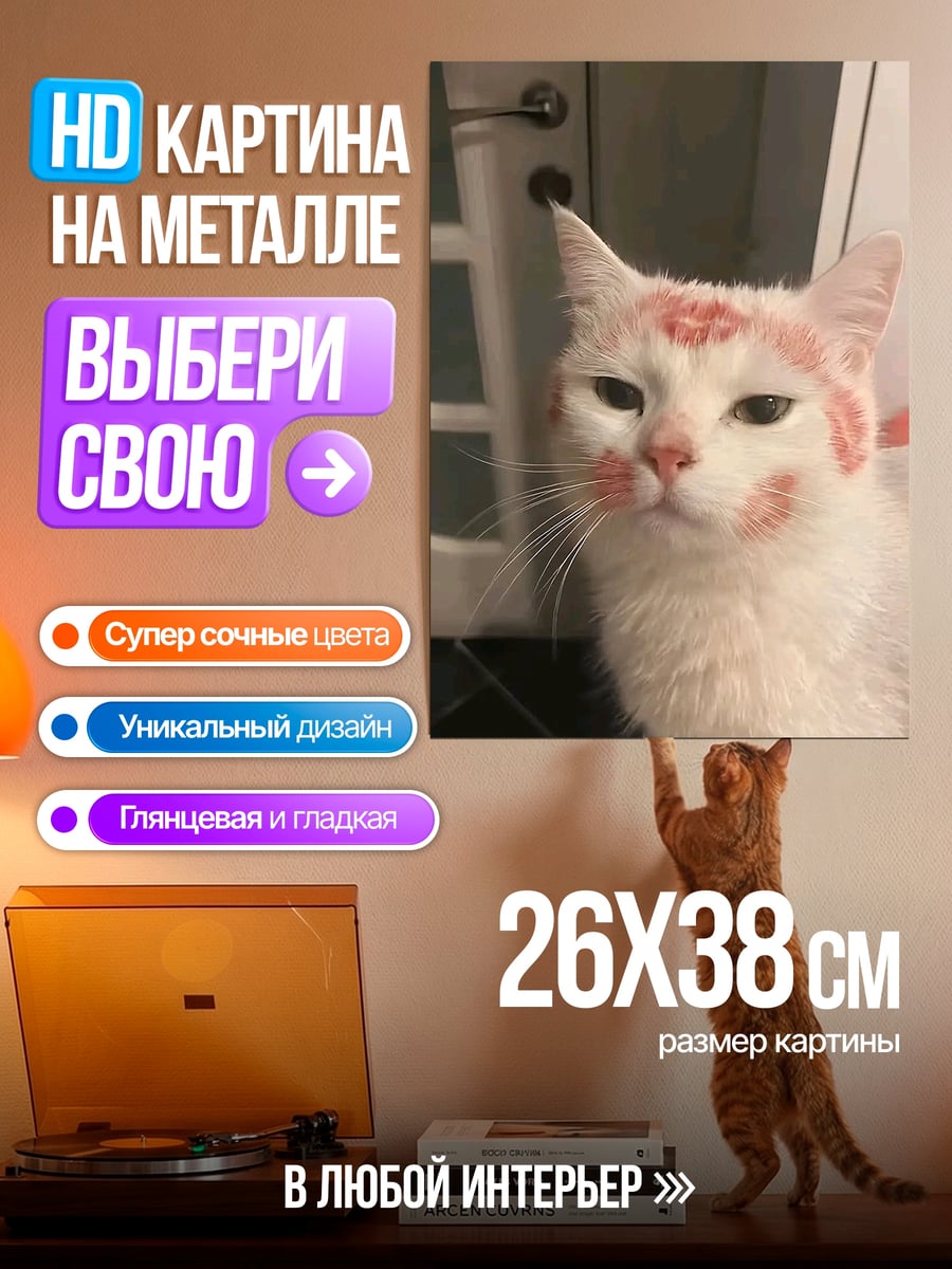 Картина на металле Кот в помаде