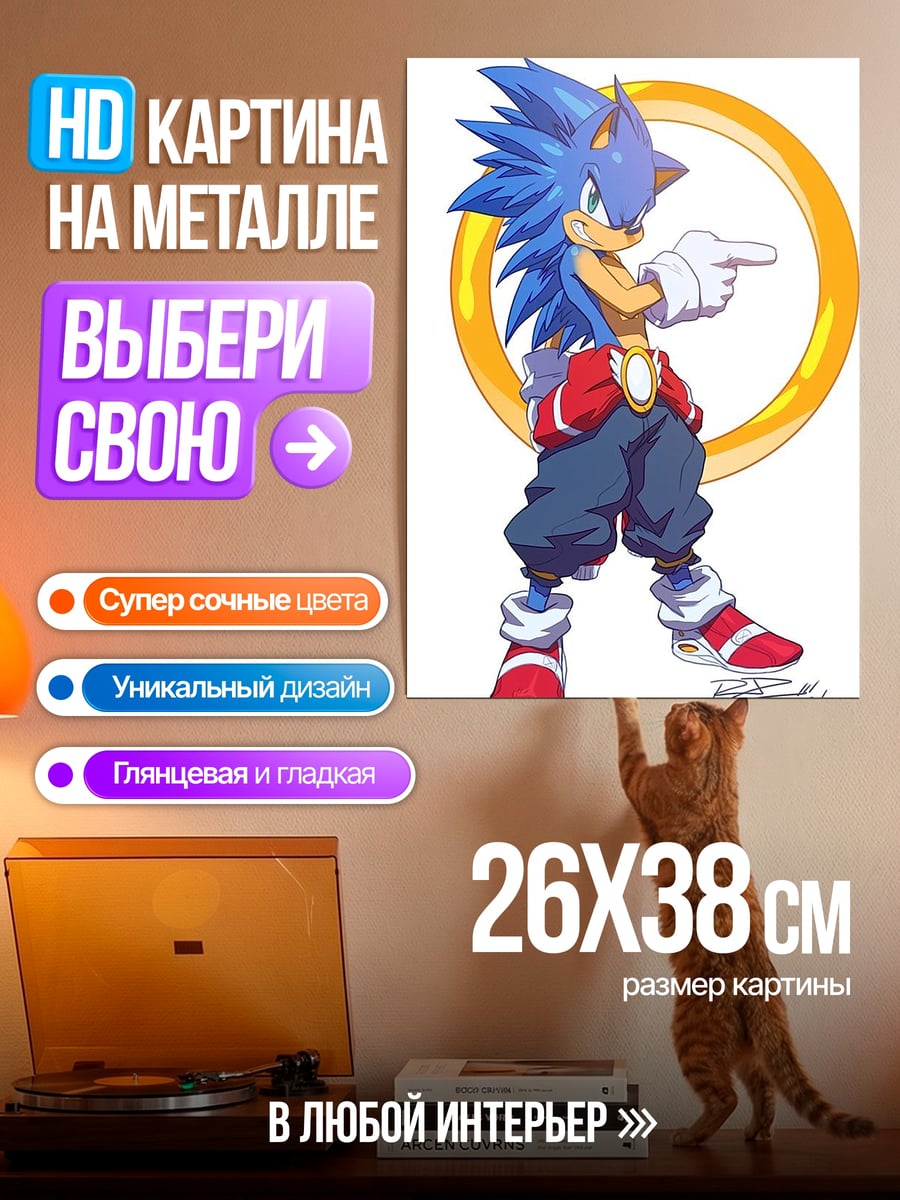 Картина на металле Соник золотое кольцо