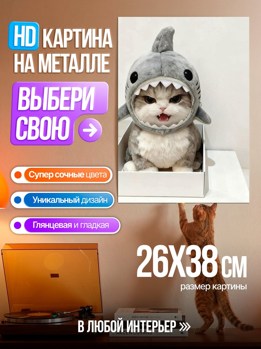 Картина на металле Кот акула