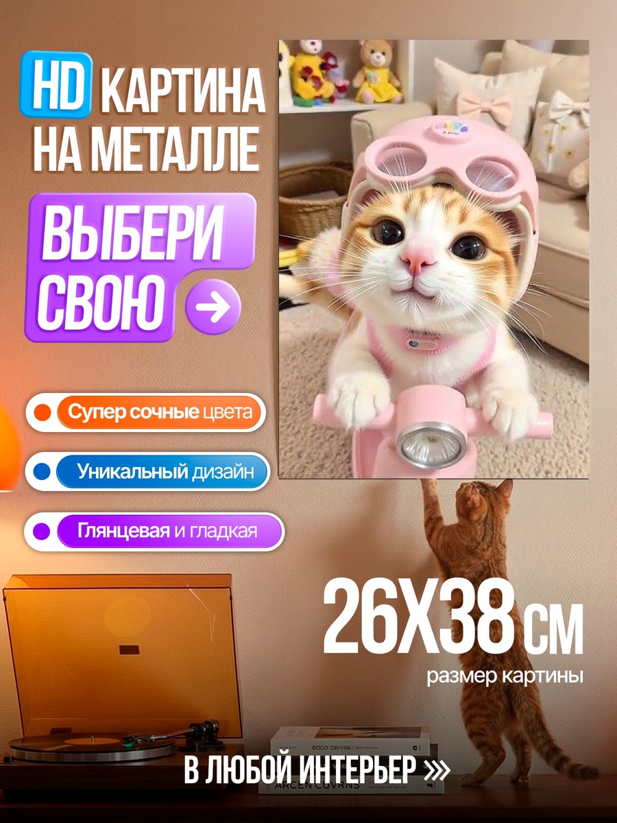 Картина на металле Кот на скутере