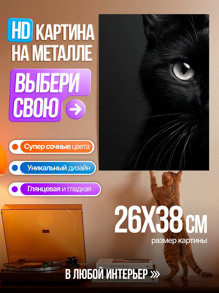 Картина на металле черный кот