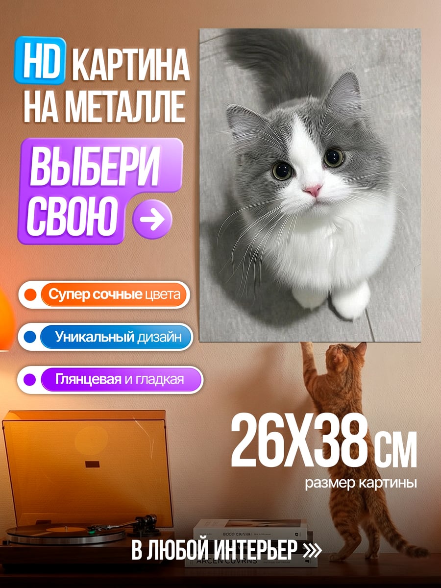 Картина на металле Пушистый котенок