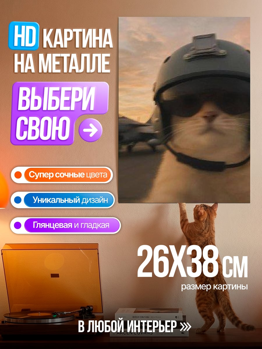 Картина на металле Кот пилот самолета