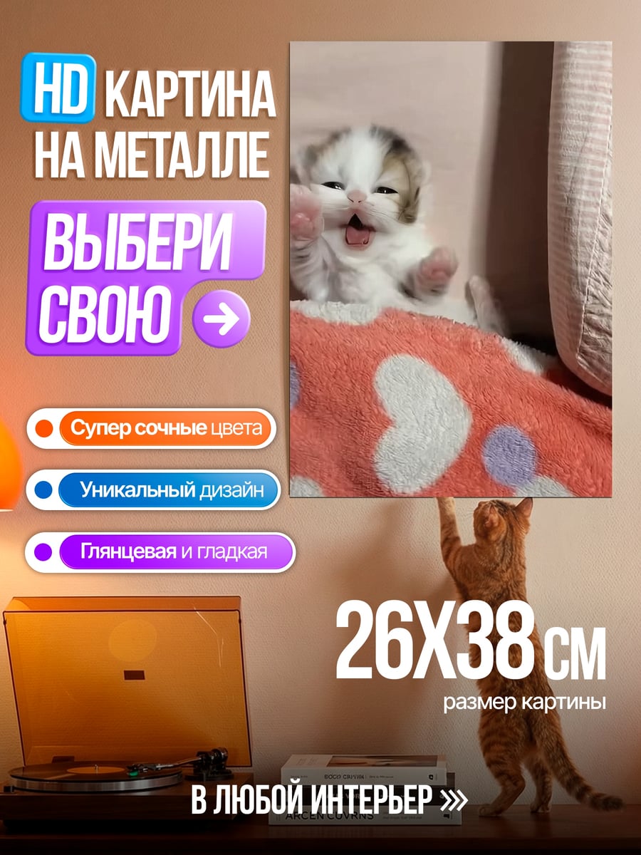 Картина на металле Котёнок машет лапкой