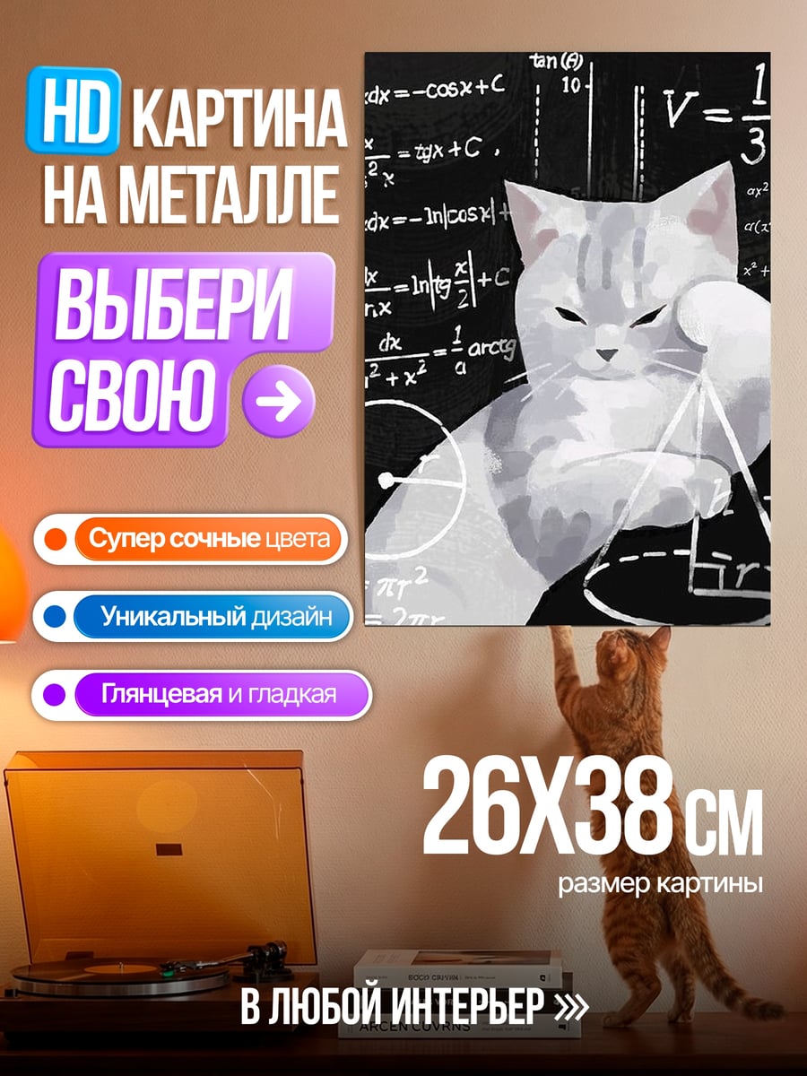 Картина на металле Кот математик