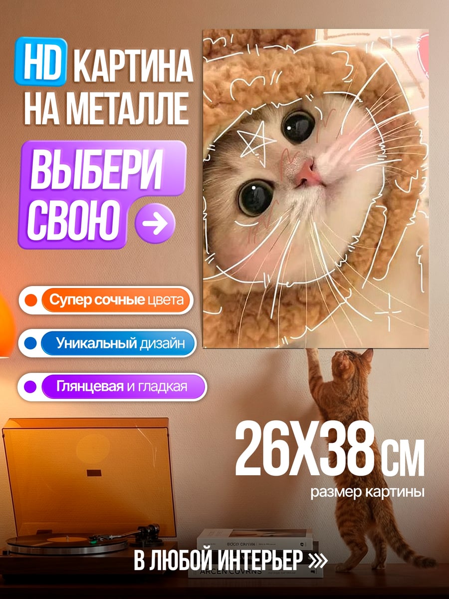 Картина на металле Милый котенок в шапке
