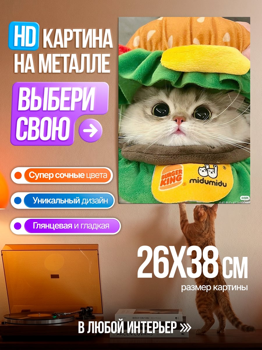 Картина на металле Кот в костюме бургера