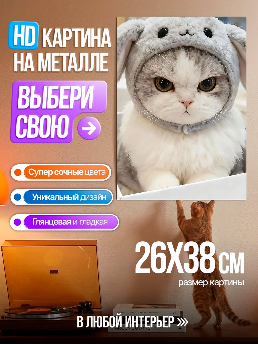 Картина на металле Сердитый котик в шапке