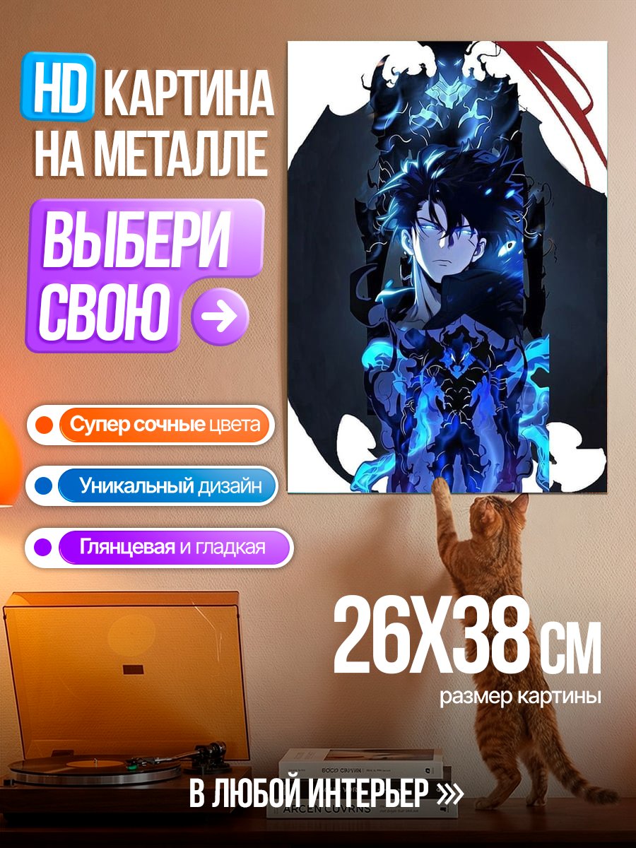 Картина на металле Персонаж из Solo Leveling