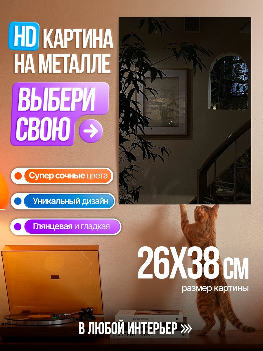 Картина на металле Темный интерьер с растением