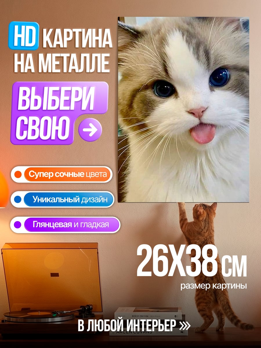 Картина на металле Кот с языком