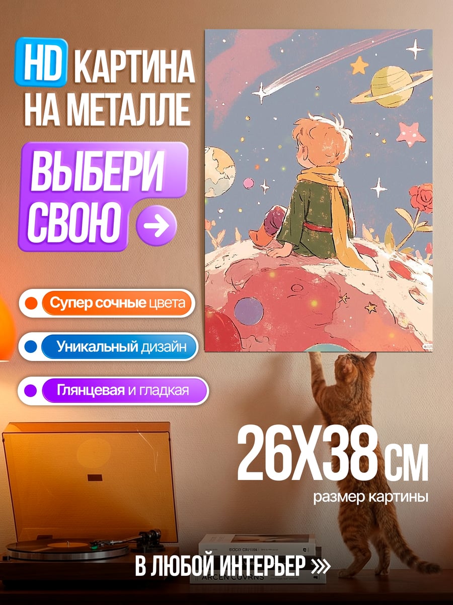 Картина на металле Маленький принц космос