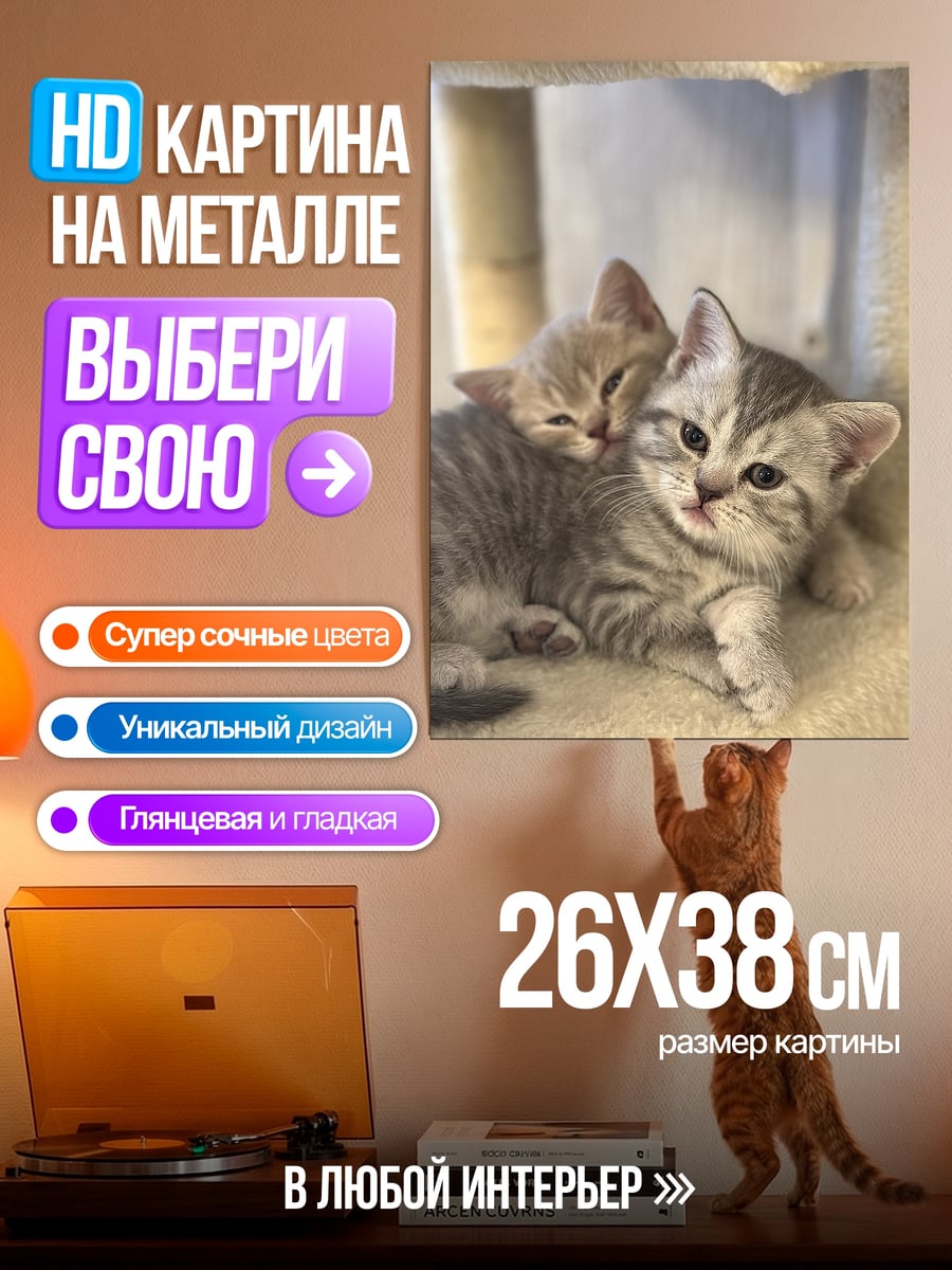 Картина на металле Два котенка