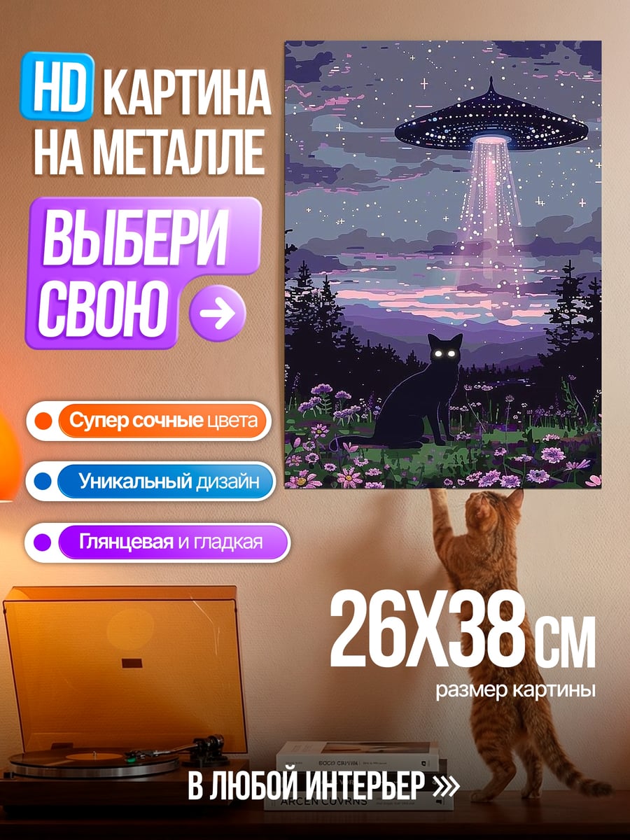 Картина на металле Черный кот НЛО