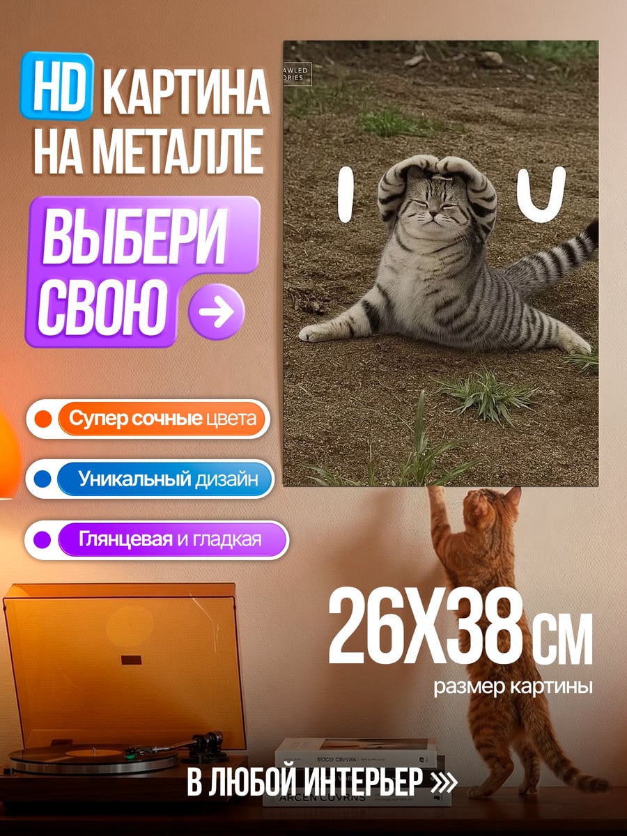 Картина на металле Кот люблю тебя