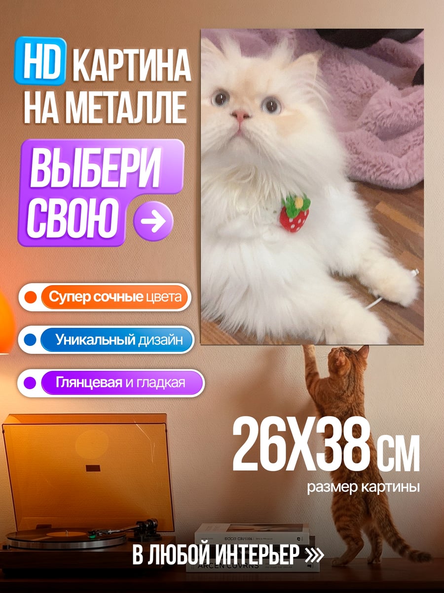 Картина на металле Белый кот клубника