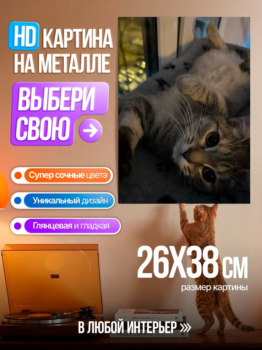 Картина на металле Кот лежит