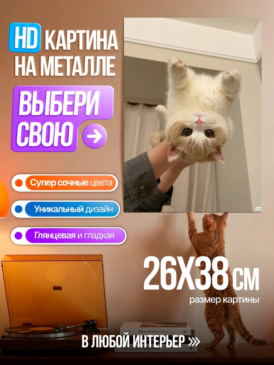 Картина на металле Перевернутый котенок