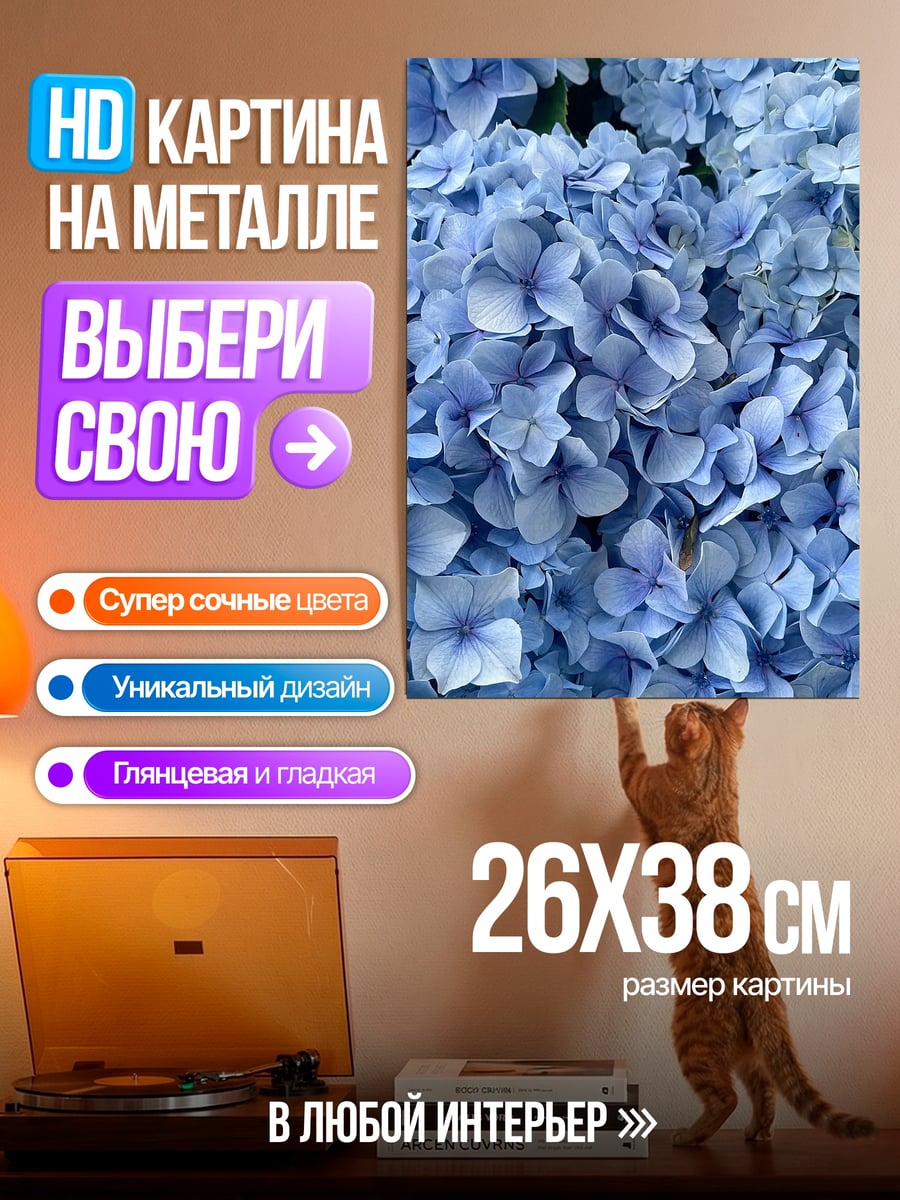 Картина на металле Удача черный кот