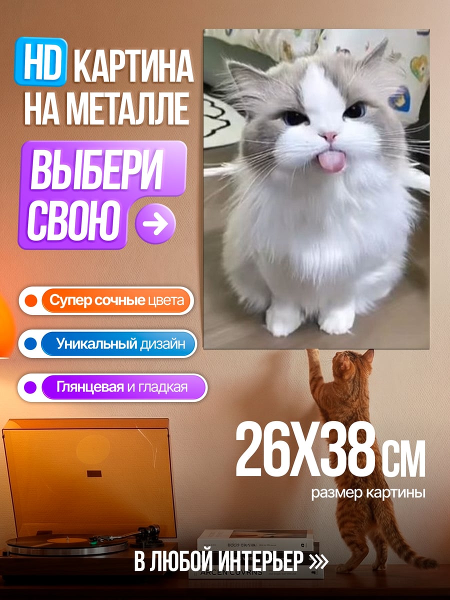 Картина на металле Кот показывает язык