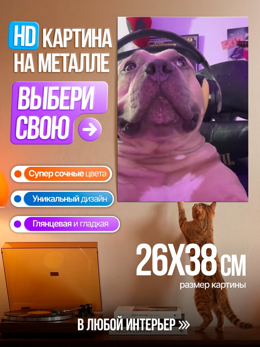 Картина на металле Бульдог в наушниках