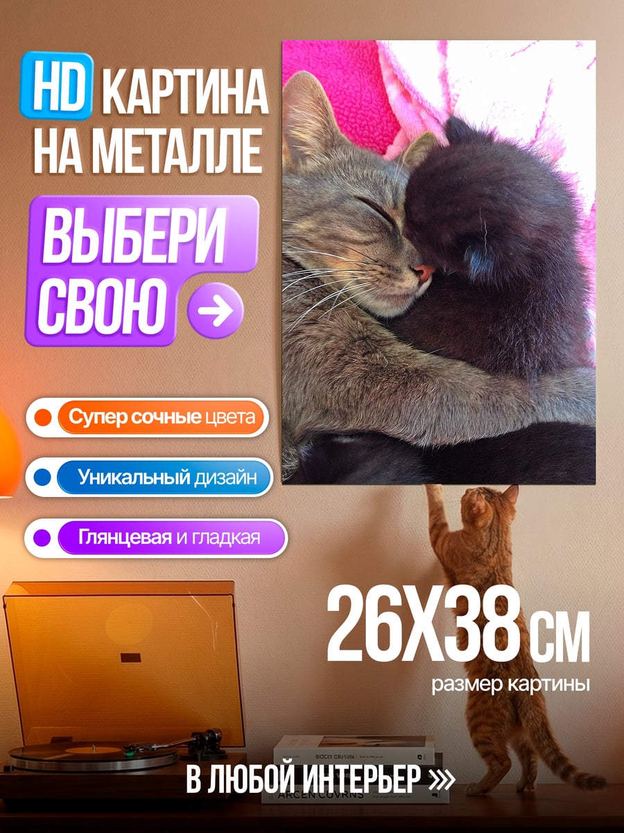 Картина на металле Обнимающиеся котята