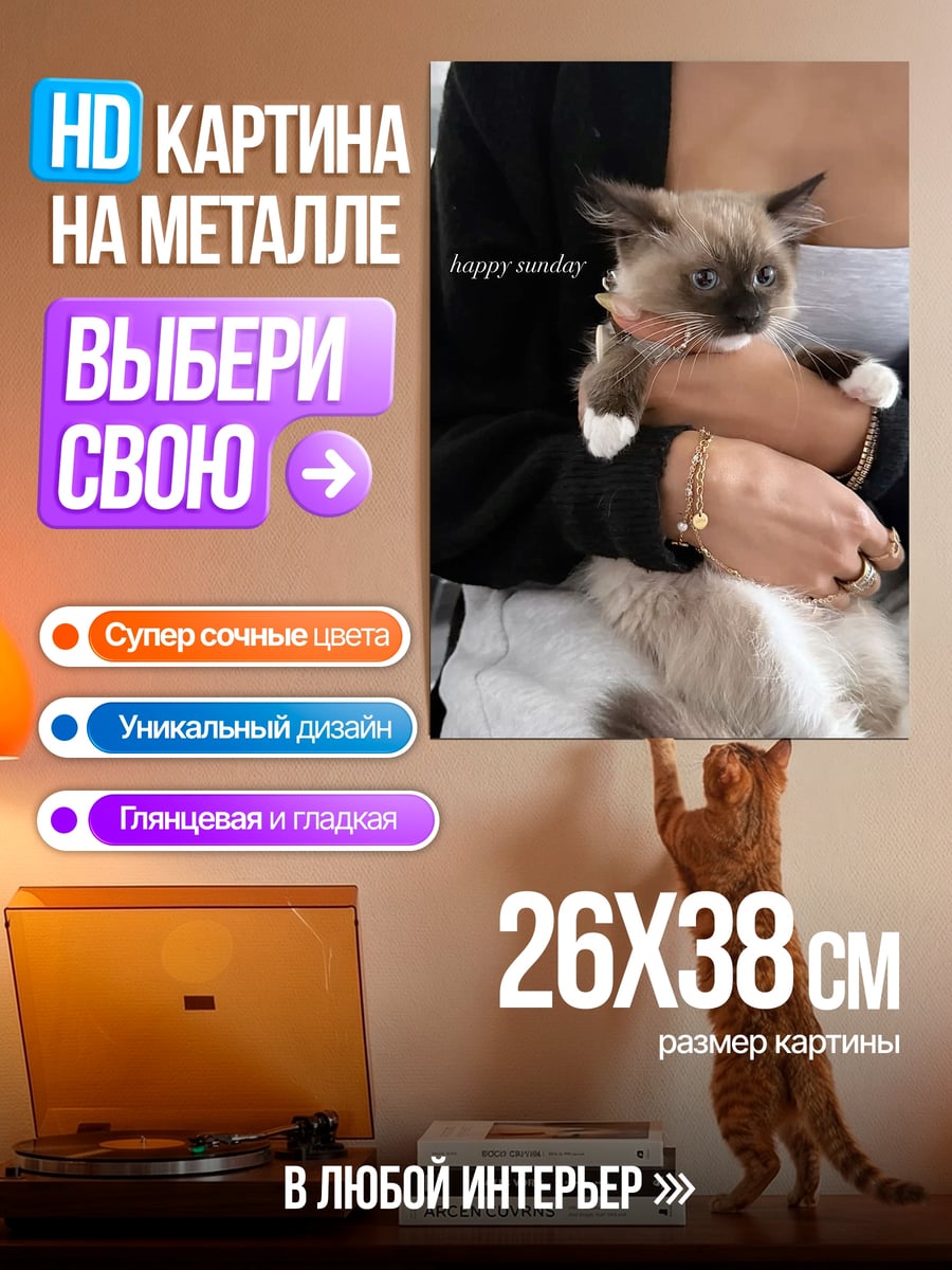 Картина на металле Котенок с надписью