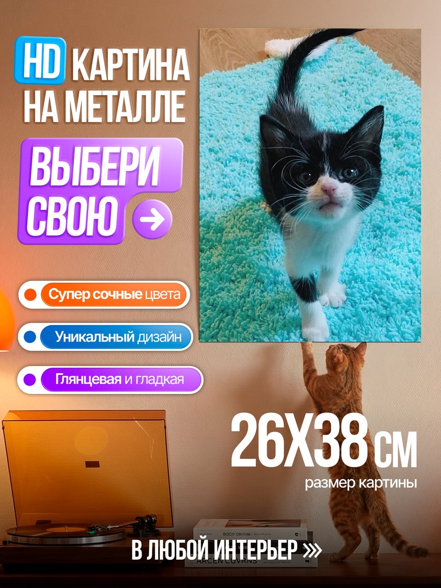 Картина на металле Черный котенок на ковре
