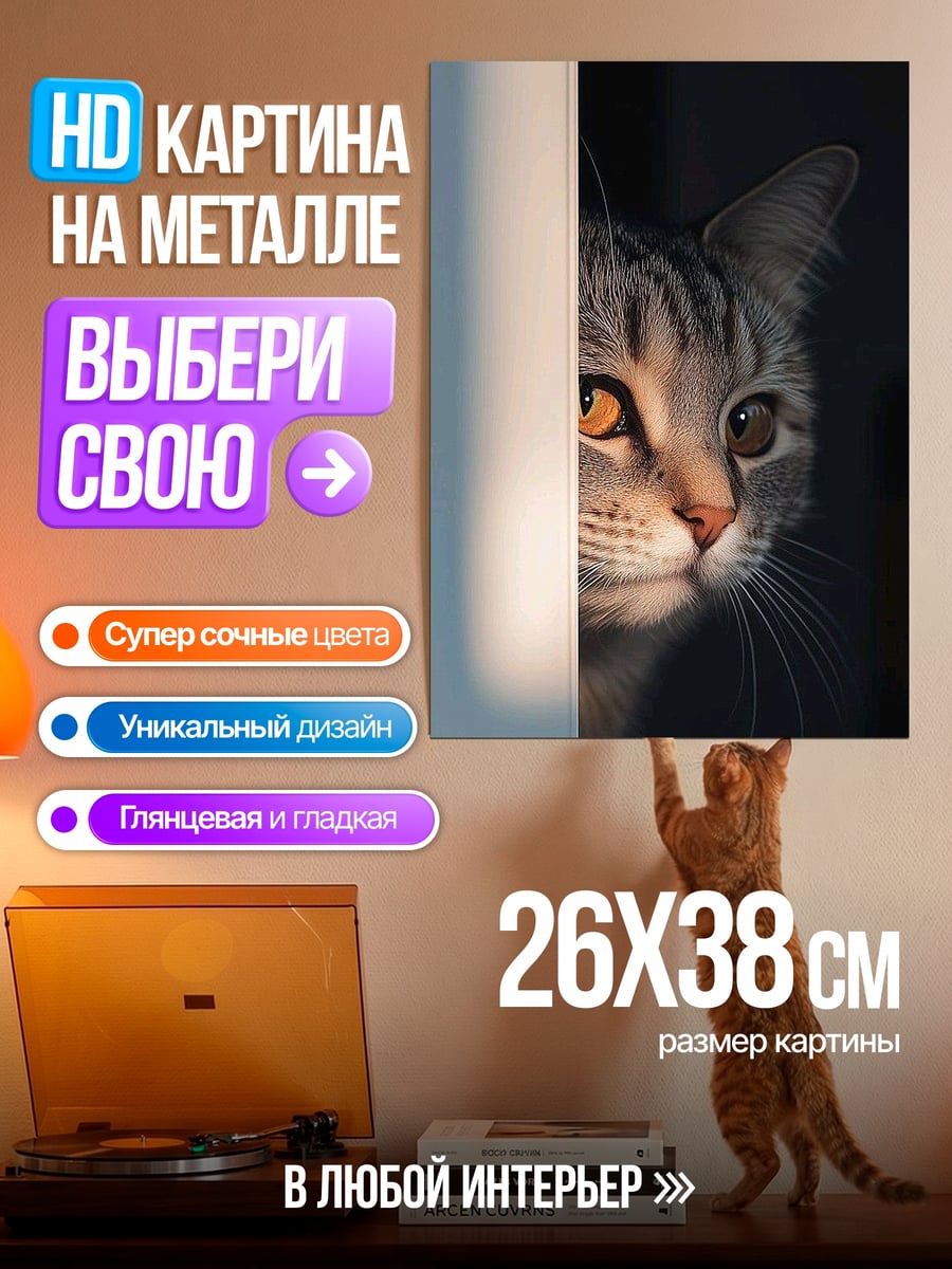 Картина на металле кот выглядывает из тени