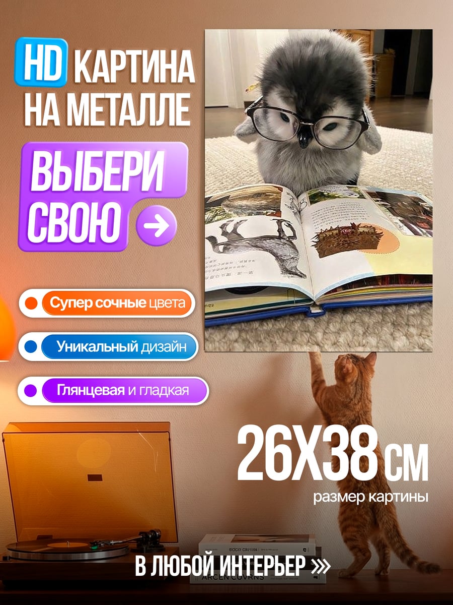 Картина на металле Сова в очках читает