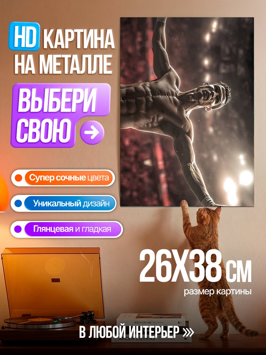 Картина на металле Акробат в воздухе