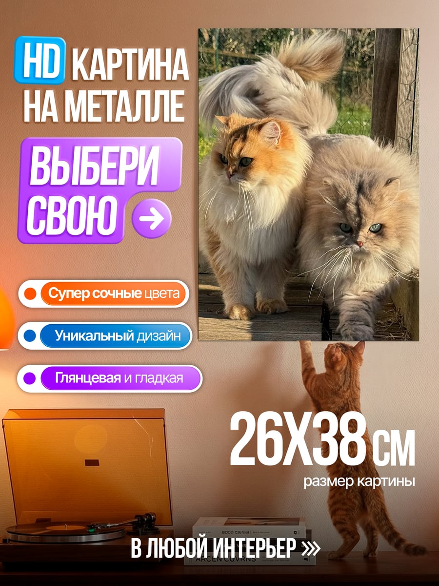 Картина на металле Две пушистые кошки