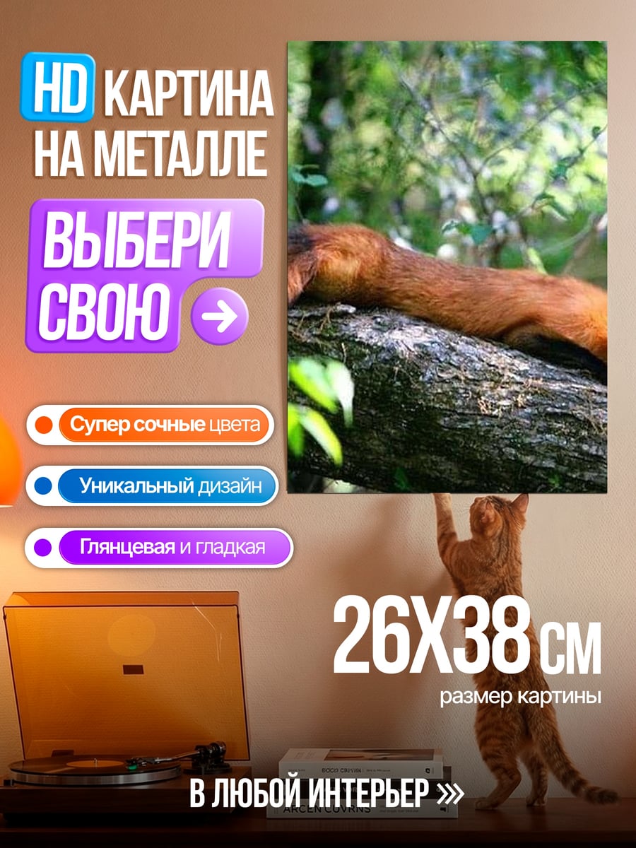 Картина на металле Рыжая лиса спит