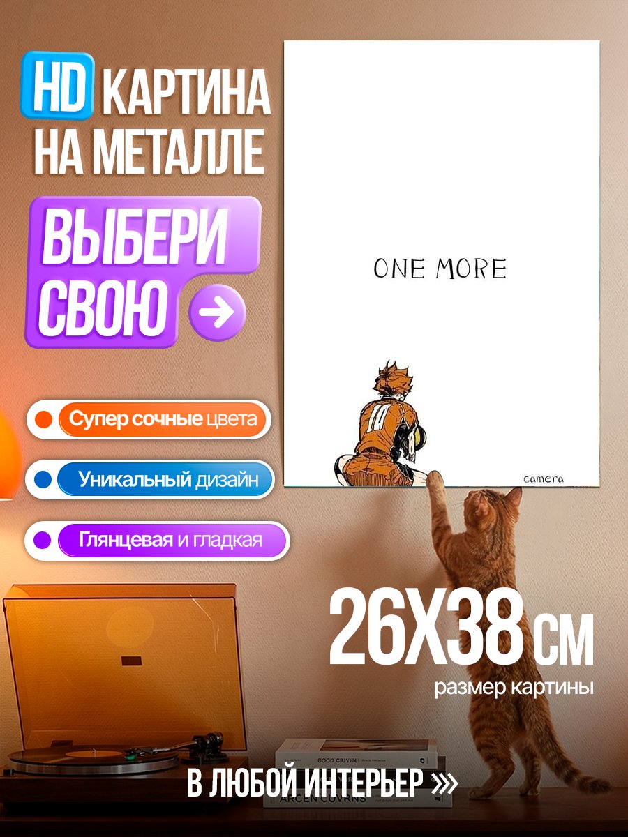 Картина на металле Хината Хайкьюу