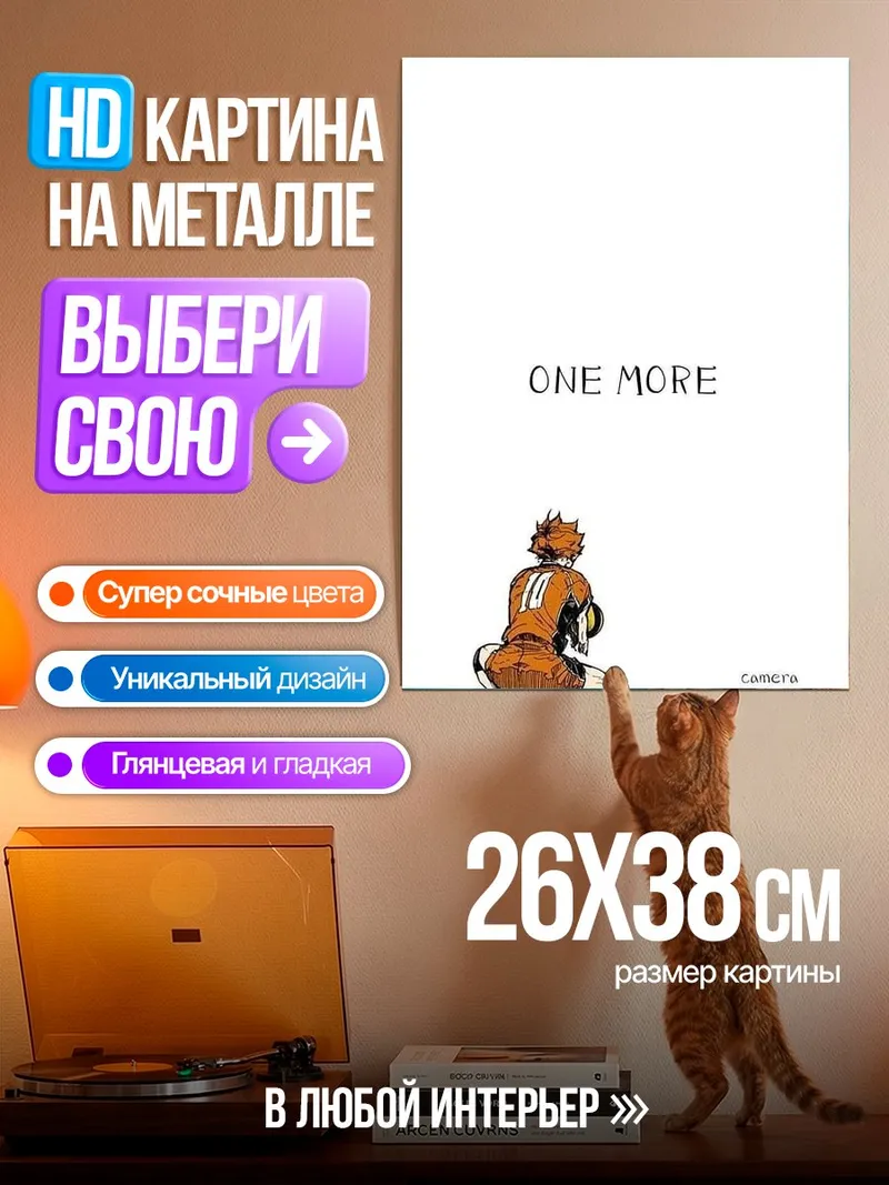Картина на металле Хината Хайкьюу