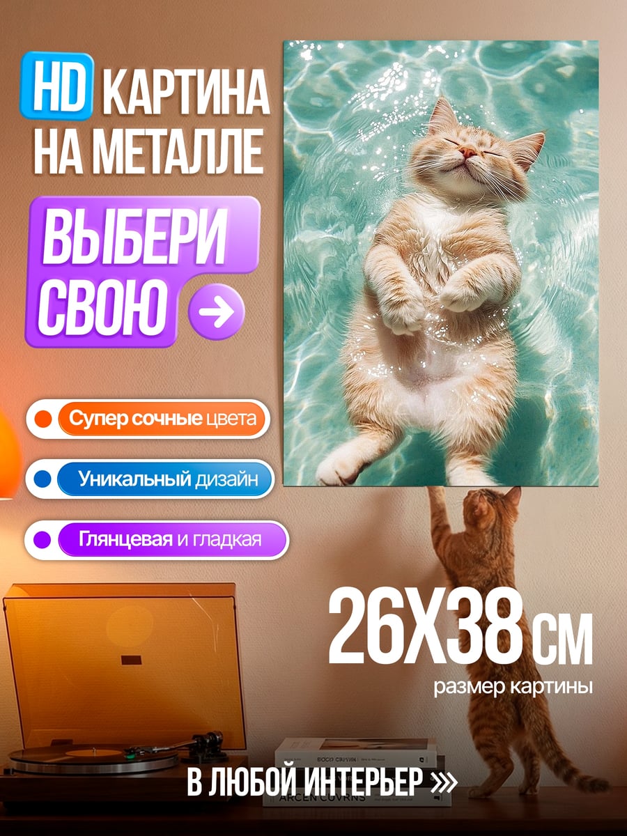 Картина на металле Кот в бассейне