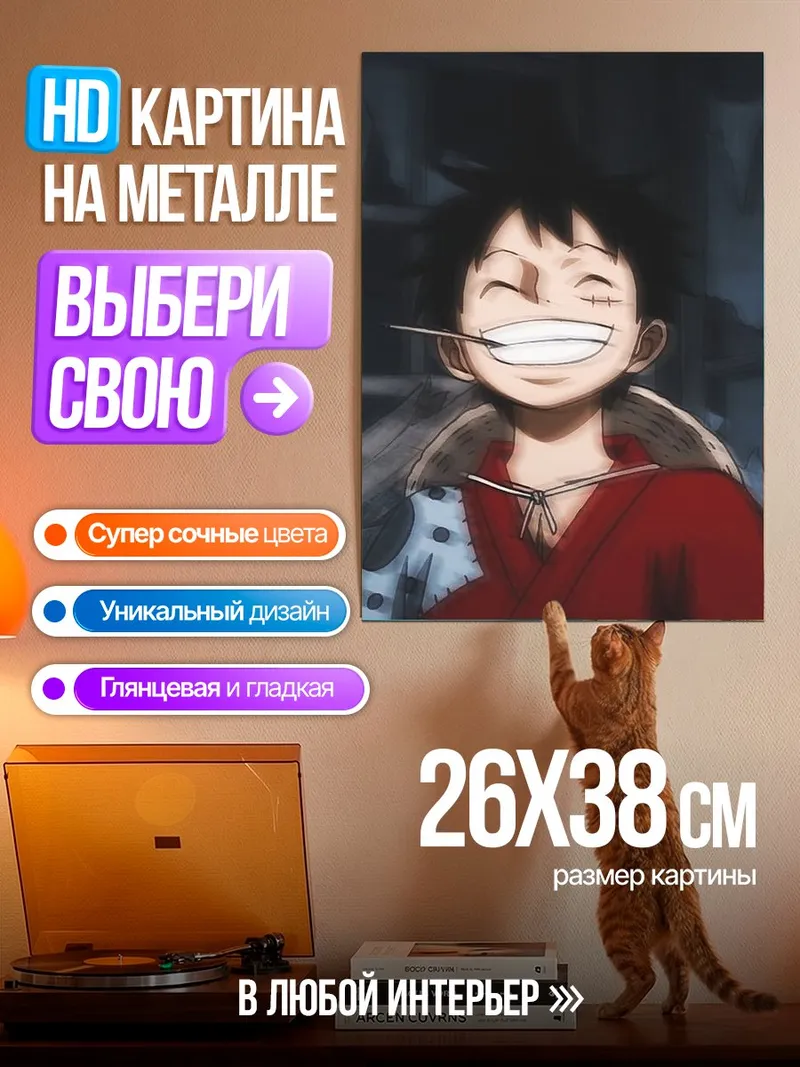 Картина на металле Манки Д. Луффи улыбка