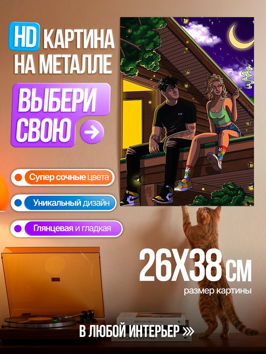 Картина на металле Пара на крыше
