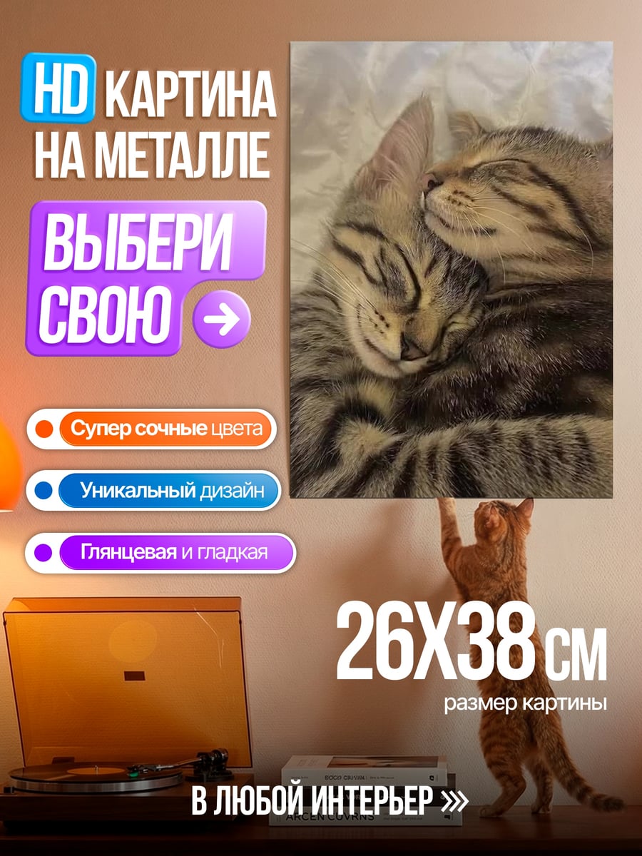 Картина на металле Два котенка спят
