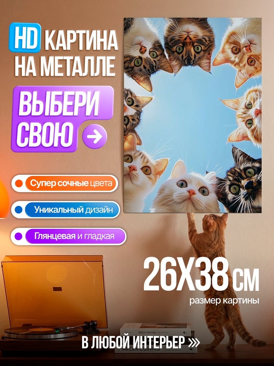 Картина на металле Кошки смотрят вниз