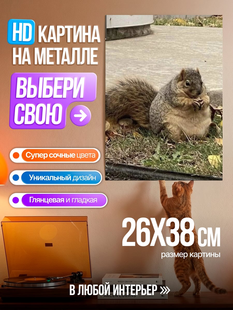 Картина на металле Толстая белка ест