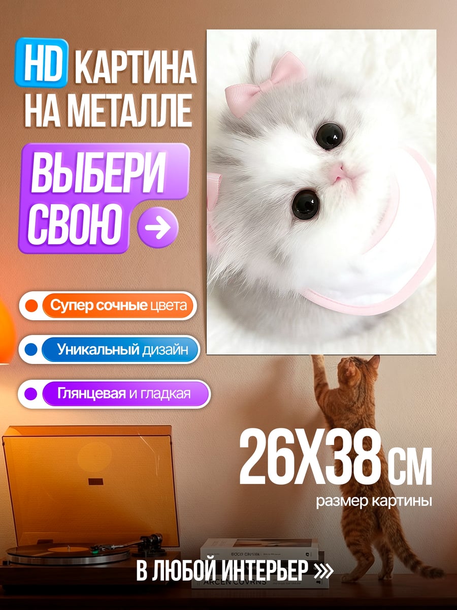 Картина на металле Пушистый котенок с бантиками