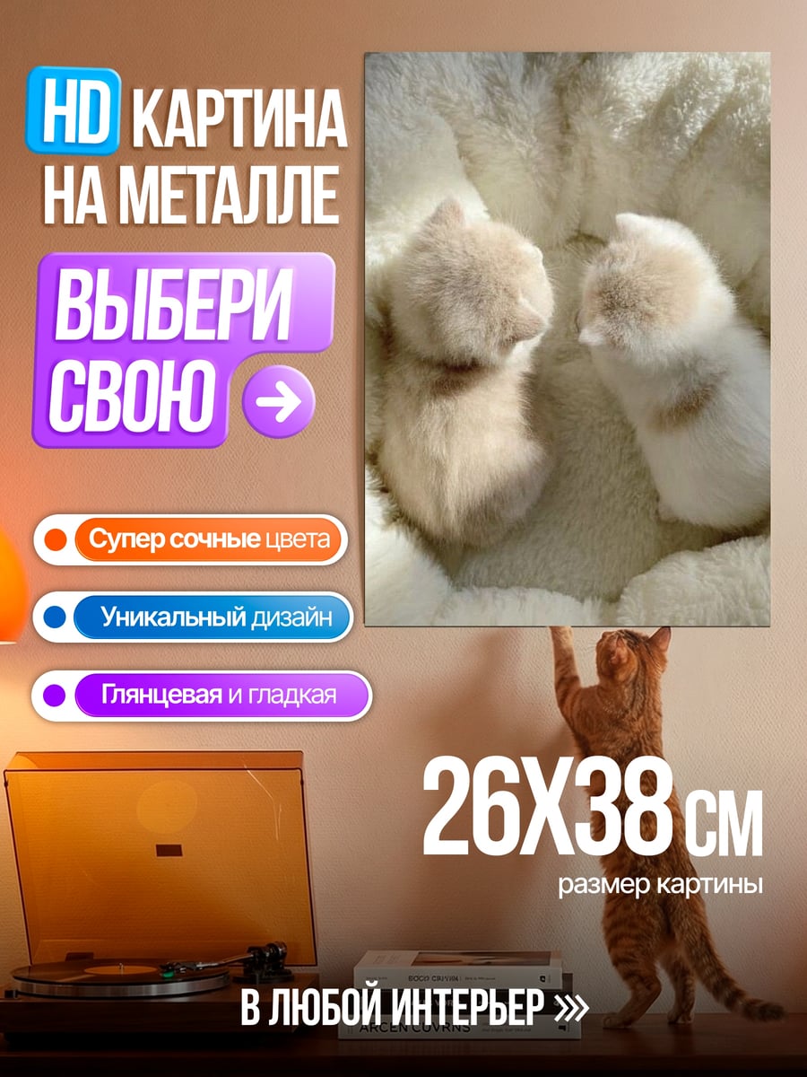 Картина на металле Два милых котенка
