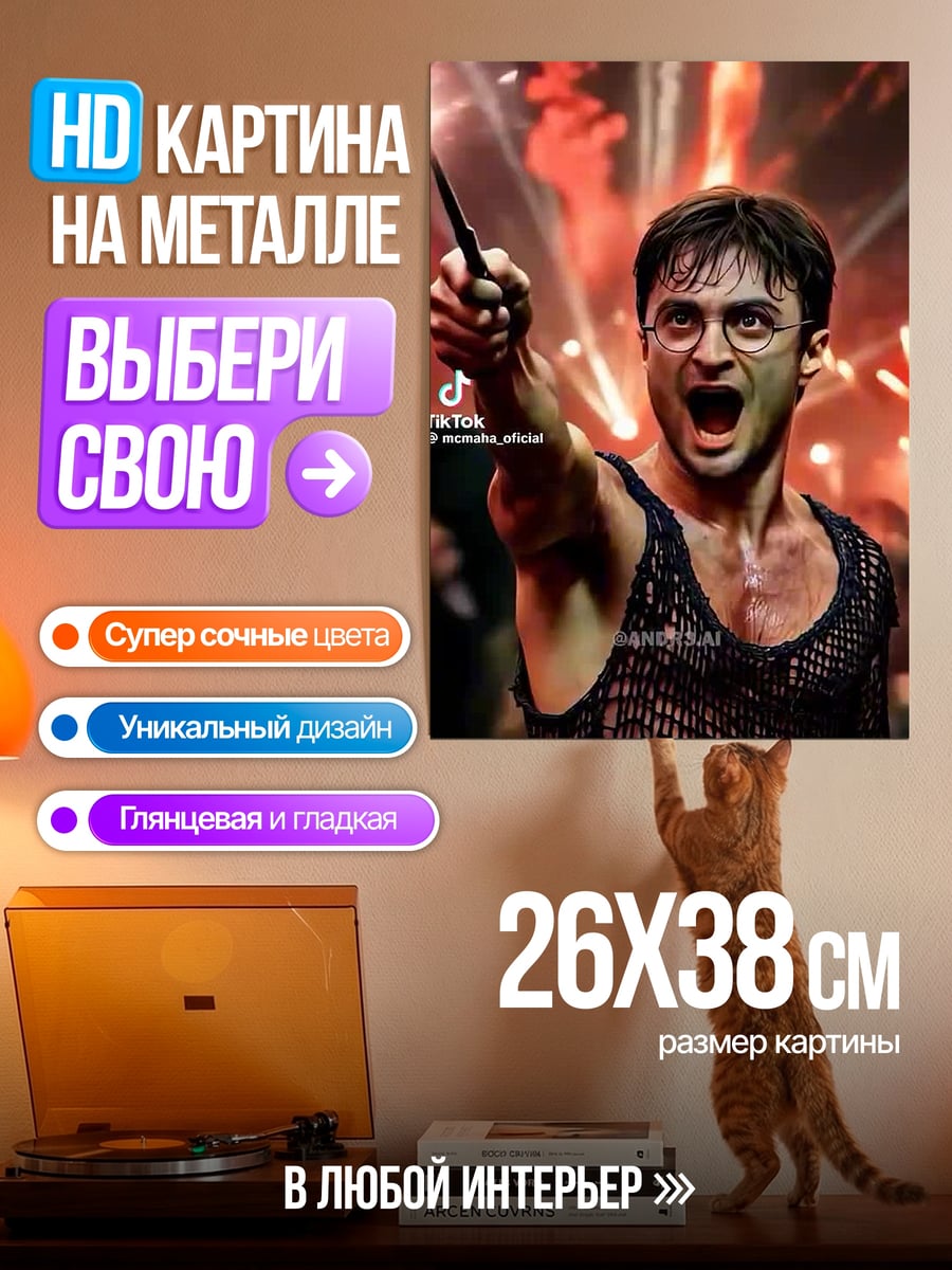 Картина на металле Гарри Поттер заклинание