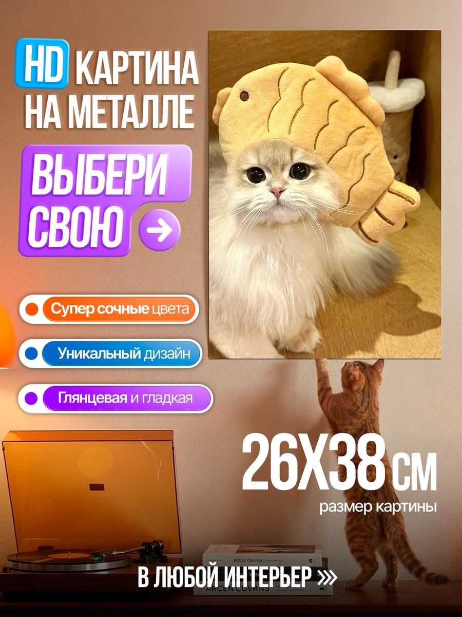 Картина на металле Кот с игрушкой тайяки