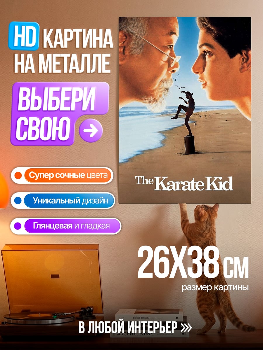 Картина на металле Парень и мистер Мияги