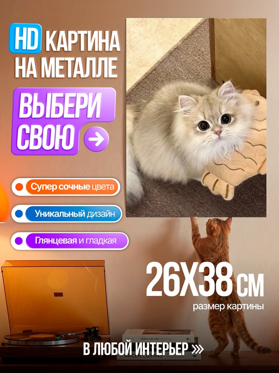Картина на металле Пушистый кот