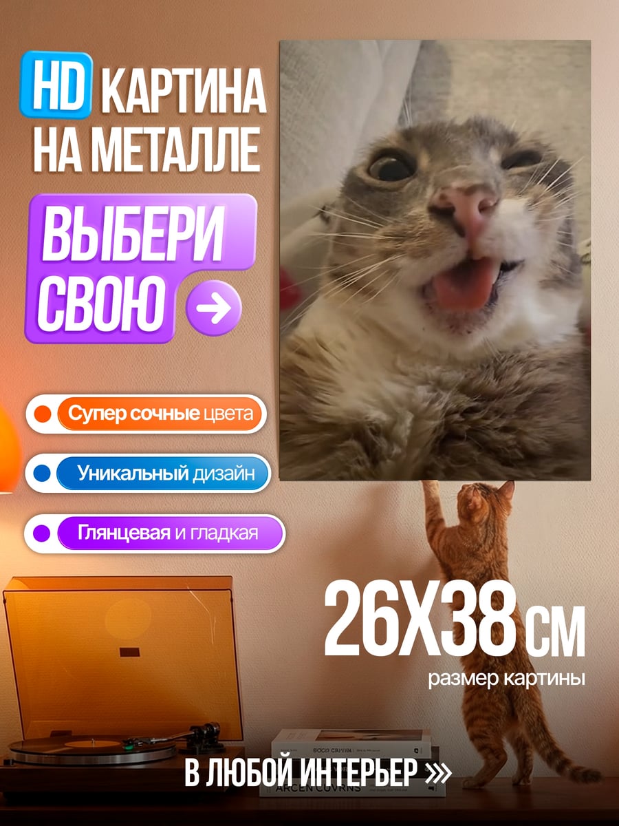 Картина на металле Смешной кот